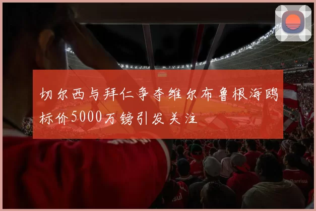 切尔西与拜仁争夺维尔布鲁根海鸥标价5000万镑引发关注