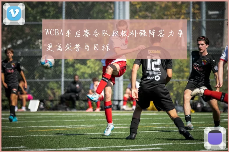 WCBA季后赛各队积极补强阵容力争更高荣誉与目标